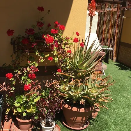 Cappuccini Bed and breakfast